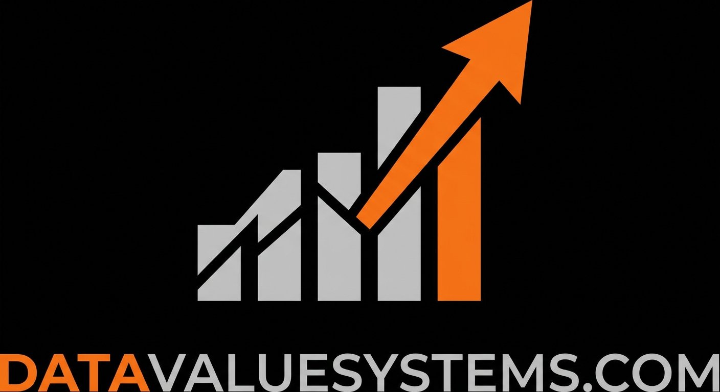 DataValueSystems logo